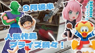 【倉庫系】人気プライズ続々登場！色々なサイズの箱に挑戦！【クレーンゲーム】