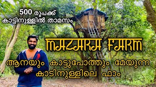 500 രൂപക്ക് ആനയും കാട്ടുപോത്തും മേയുന്ന കാട്ടിനുള്ളിൽ treehouse ൽ താമസിക്കാം | MAZARA FARM