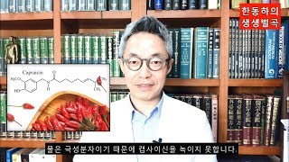 캡사이신이 낸 불은 물이 아닌 기름으로 꺼야 한다 - 한동하의 생생별곡