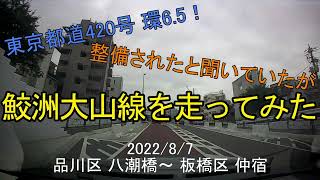 【東京環状道路】東京都道420号 鮫洲大山線を走ってみた