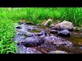 beautiful river water flow for calmer sleep meditation yoga spaa studying