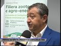 confagricoltura due progetti per fare energia dai rifiuti servizio tg del 19 05 2022