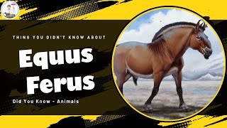 Thing You Didn't Know About  Equus Ferus