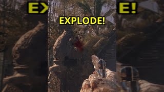 The Weirdest Easter Egg Ever in Call Of Duty