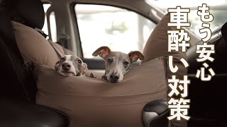 【車酔いするわんこ必見⁉︎】長距離のドライブでも安心の犬の車酔い対策がこちら