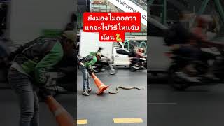 ใช้กรวยจราจรจับงูได้จริงหรอ #กระแส #เทรนด์วันนี้ #ข่าวใหม่ #funny #จับงู #งูเหลือม #กลางกรุง #short