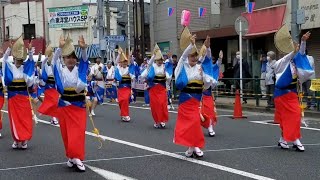 20220612 Horikiri Shobu Festival Awaodori Aikyo Ren 堀切菖蒲まつり 阿波踊り 藍響連