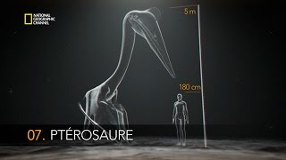 Le Ptérosaure