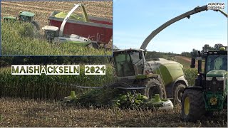 Der Hektarkiller im Mais - Claas Jaguar 990 - Maisernte 2024 - LU Schicker im Erntestress