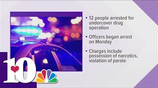 Sevier County deputies arrest 12 suspects in drug operation