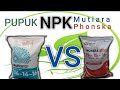 Unggul Mana Pupuk NPK Mutiara VS  NPK Phonska?#pupuk #pupukorganik #npk #mutiara #phonska