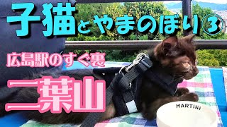 【猫と山登り】広島駅の裏【二葉山】（ふたばやま）に子猫のnoちゃんと登ってきました。2024.9.16.