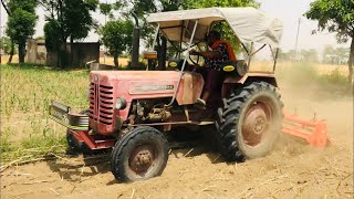 81 ਮਾਡਲ ਐਂਟਰ ਮੂਹਰੇ ਸਭ ਫੇਲ ਦੇਖੋ ਜੋਰ ਰੋਟਾਵੇਟਰ ਤੇ Punjabi Farmer Benipal Jattz