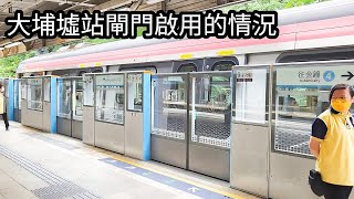 【大埔墟站閘門啟用】東鐵線 R-Train D052/D054 駛經大埔墟站