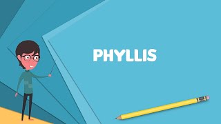 What is Phyllis? Explain Phyllis, Define Phyllis, Meaning of Phyllis