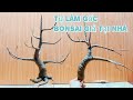 Hướng dẫn làm gốc bonsai giả tại nhà ai cũng có thể làm được | Mẹ tít handmade