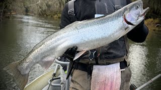 IT'S TIME! - Winter Steelhead Roundtable Ft. Special Guests. (Seasons & Early Fishing Tips)