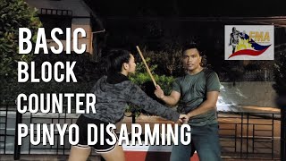 Basic Block, Counter and Punyo Disarming