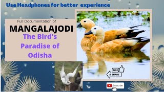 FULL DOCUMENTATION OF MANGALAJODI- THE BIRD'S PARADISE OF ODISHA #mangalajodi #birds #nature #odisha