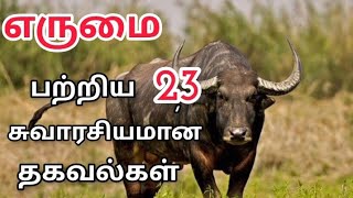 எருமை பற்றிய 23 சுவாரசியமான தகவல்கள் || #interestingfacts #facts about buffalo || #எருமை #buffalo ||