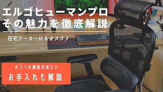 【徹底解説】エルゴヒューマンプロ・オットマン＆ホコリなどお手入れ方法