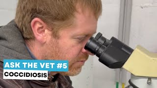 Ask the vet #5: coccidiosis