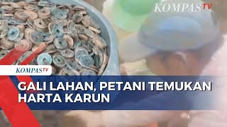 Petani di Pasuruan Temukan Harta Karun Saat Gali Ladang Diduga Peninggalan Dinasti Qing