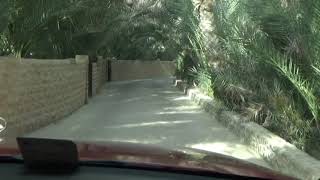 Jimi Oasis, Al Ain, UAE