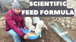 Scientific Feed Formulation/ Sheep feed for weight gain/feed formula//how to increase milk for sheep