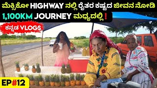 ಮೆಕ್ಸಿಕೋ ಅಲ್ಲಿ 1100 ಕಿಮೀ NON STOP ಕಾರ್ Driving || Part-12 || Mexico | Kannada Vlog