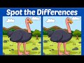 【Spot the difference】🔥Only genius can find all in 90seconds!! 【Find the differences】