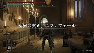 エルデソ/PC版/114周目舌舐め攻略/白1、モブなるべく撃破