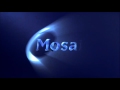 Mosaic Media Group (2002)