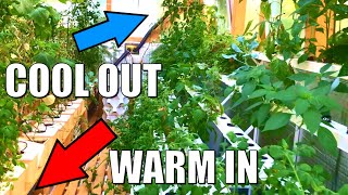 Aquaponics in a Walipini Thermal Greenhouse