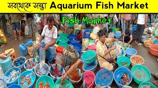 সস্তায় অ্যাকোয়ারিয়াম এবং ৱঙিন মাছ কিনুন‌ || Aquarium Fish collection And Fish Market || #fish