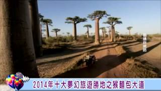 2014年十大夢幻旅遊勝地之猴麵包大道│大千世界│新唐人電視台