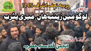 02 Muharram 1445 | NAJAF IRAQ | Logo Mein ZAINAB (SWT) Han Meri Yasrab | Anjuman eGuldasta e Jaffria