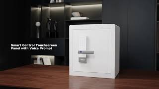 RPNB RPHS Series Touchscreen Fingerprint Home Safe-White Version