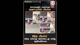 இணையத்தில் வைரலாகும் மூதாட்டியின் வீடியோ!