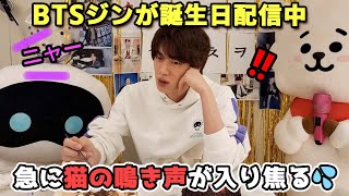 ジンの誕生日配信中、突然猫の鳴き声が入る・・・？ [weverse live 日本語字幕]