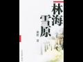 袁阔成评书《林海雪原》45回全 15