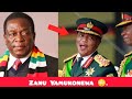 Chiwenga Is A Real Army General : Zanu Yamukonewa  😳