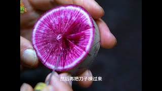 三毛水果艺术：萝卜雕刻风吹花