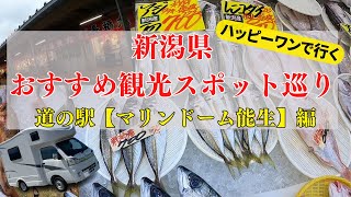 新潟県の観光おすすめ巡り|道の駅マリンドーム能生＆魚の市場通り|軽キャンHAPPY1で愛犬とわくわく旅vol.4