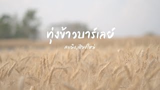 ทุ่งข้าวบาร์เลย์ สะเมิง เชียงใหม่ l เที่ยวเชียงใหม่