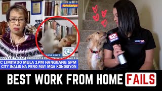 Work from home bloopers - NEWS BLOOPERS 2020 - Zoom Bloopers [Funny Pets]