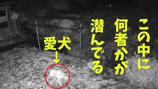 【山の中の古民家】防犯カメラが捉えた真夜中の珍客