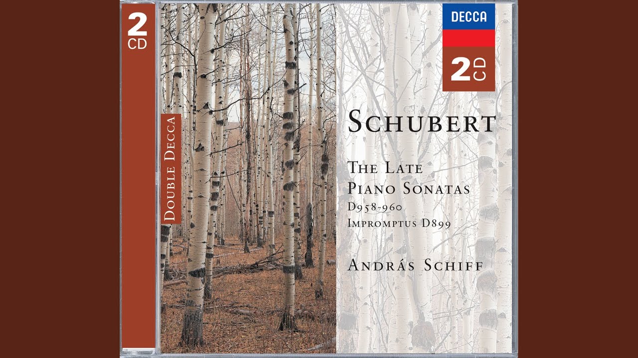 Schubert: Piano Sonata No. 21 In B Flat, D.960 - 1. Molto Moderato ...