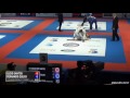 lucio sergio dos santos vs fernando zulick 2017 world pro