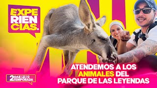 ATENDEMOS A LOS ANIMALES DEL PARQUE DE LAS LEYENDAS! 🛩️🛵🚙 - EP.02